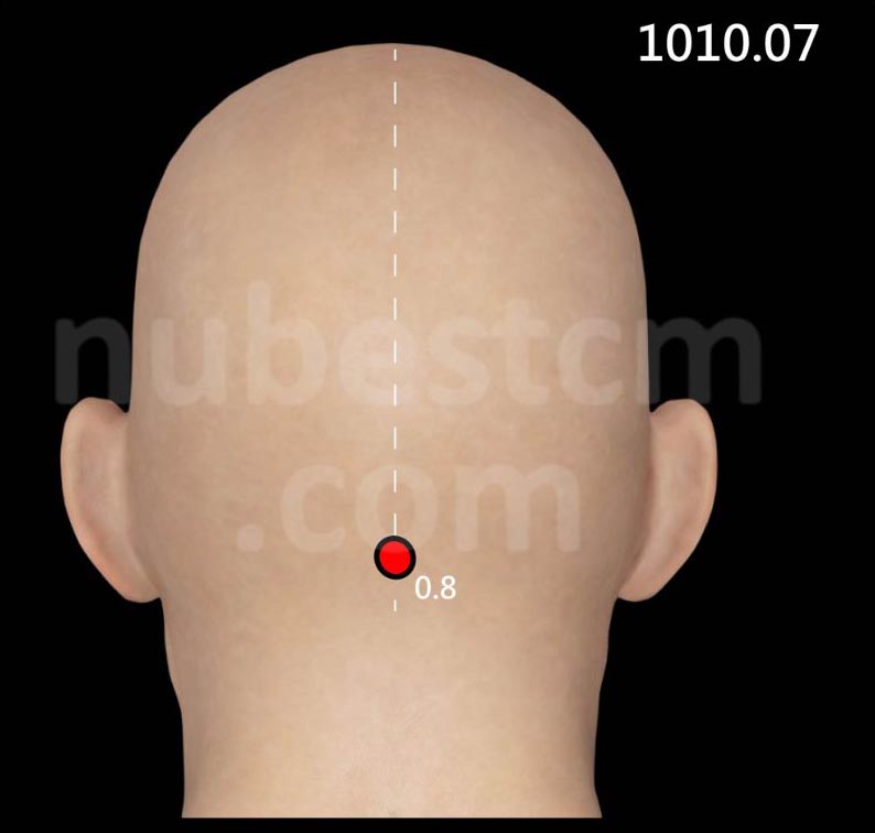 Tung’s Acupuncture: 1010.07 Zong Shu – Nubes